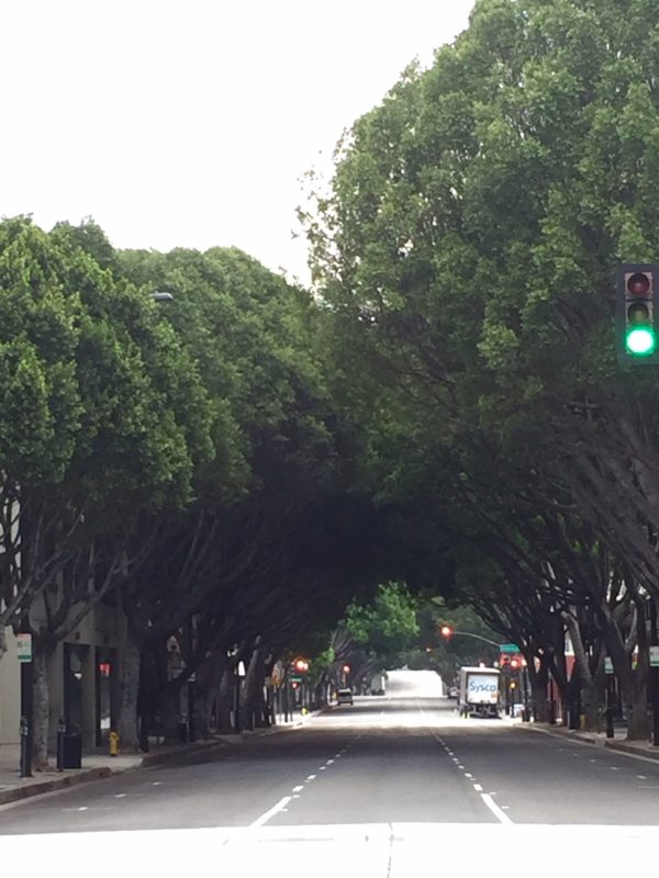 Hiking in Pasadena - Green Street